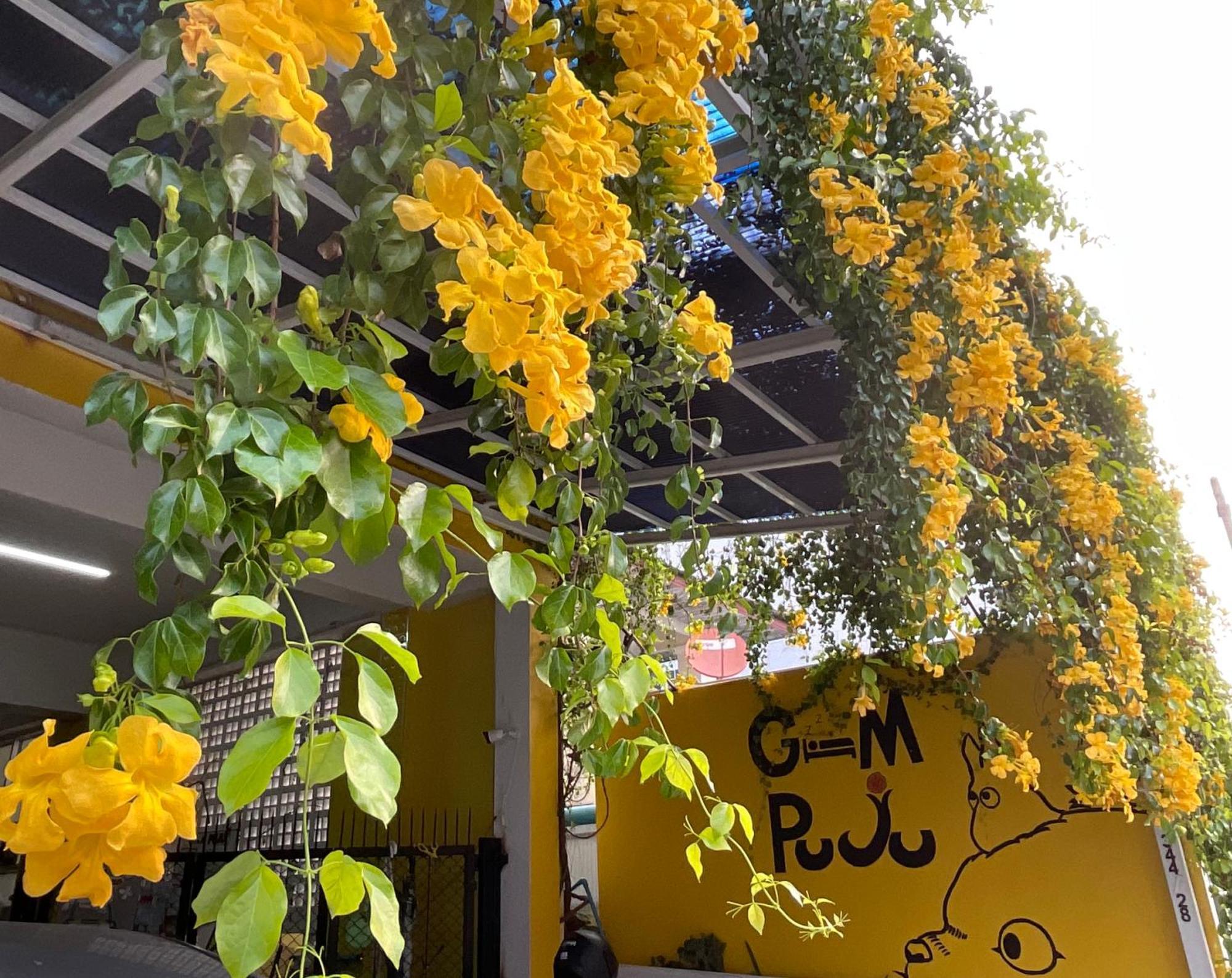 Gumpuju คำปู้จู้ Hotell Chiang Mai Exteriör bild